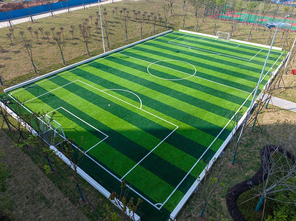 DJI_20240408084730_0041_D_JMBBS.jpg