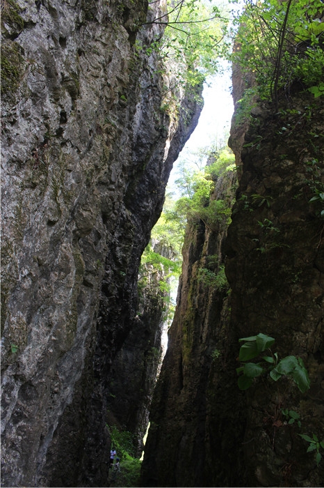 IMG_8616.jpg