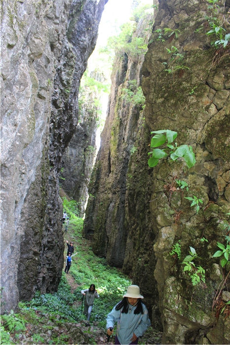 IMG_8615.jpg