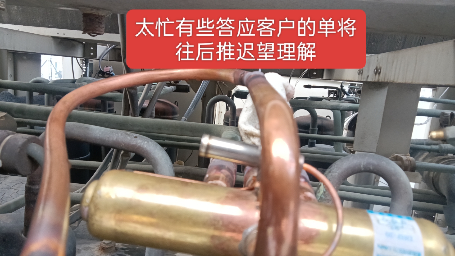 cfba413d38fe40c1de6920b47e3c1e33.jpg