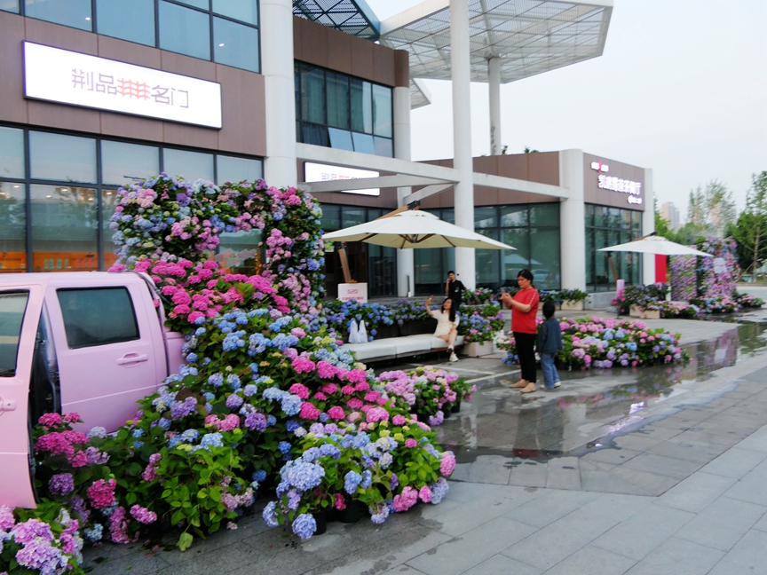 P1370331.jpg