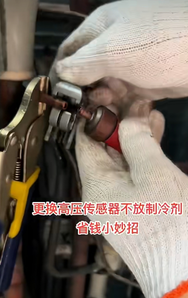 b616be5c2c74a836671145fce6c1d35d.jpg