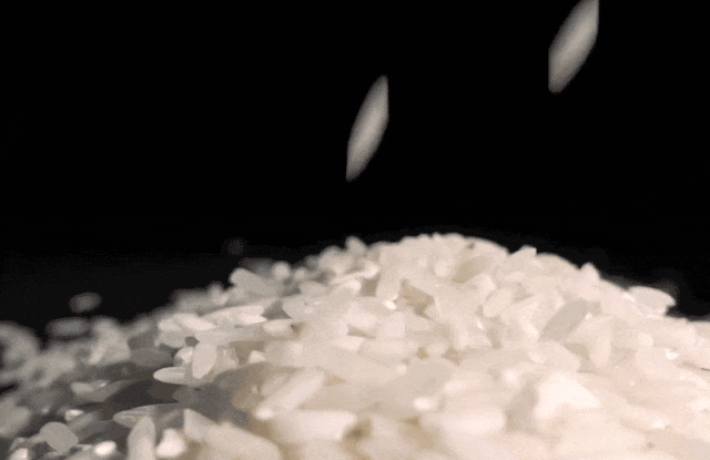 170858x0ozwo2kwf9c6olo.gif