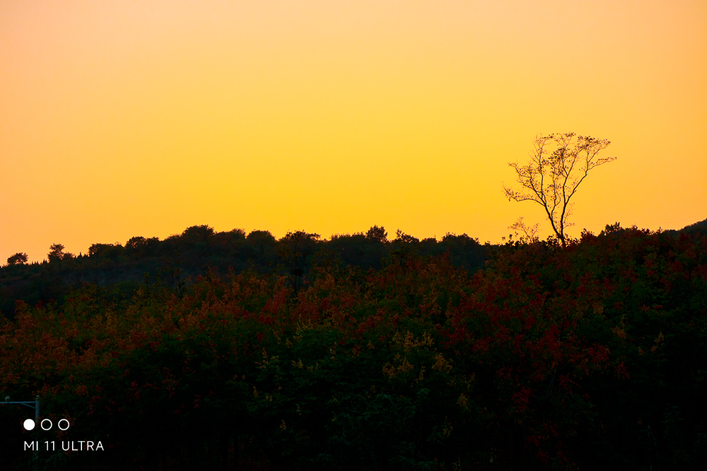 img-34.jpg