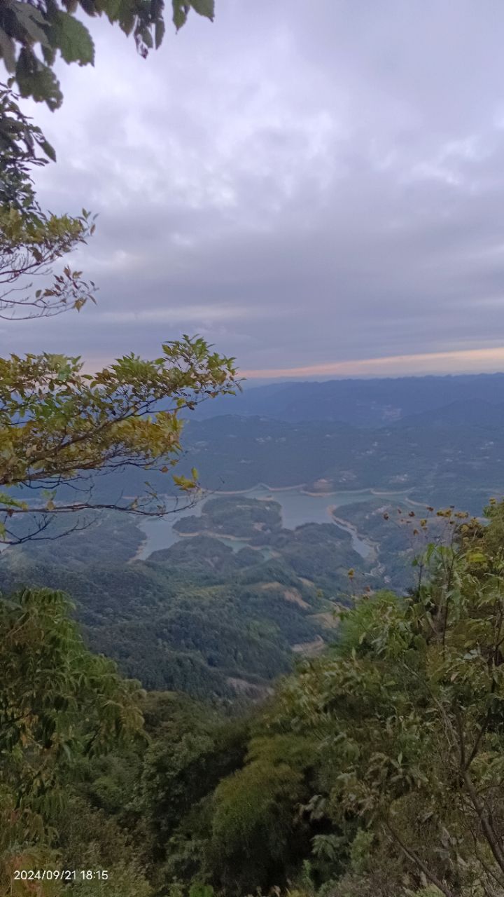 20241011224631front2_0_198625_FsTHOSfqu3DEy-Kg2dKYgwoFKLUq.jpg