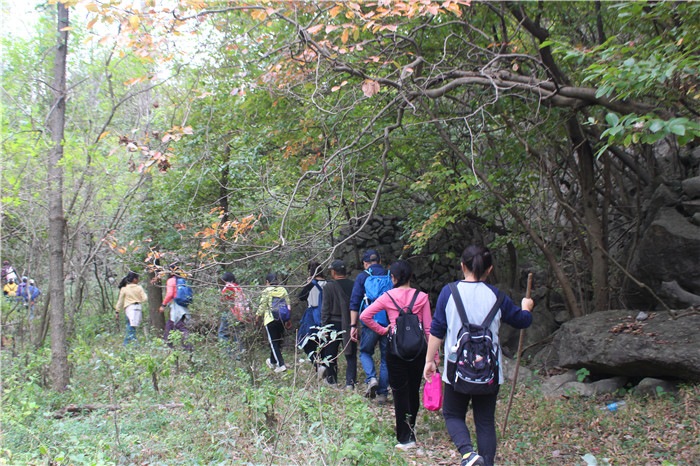 IMG_8771.jpg