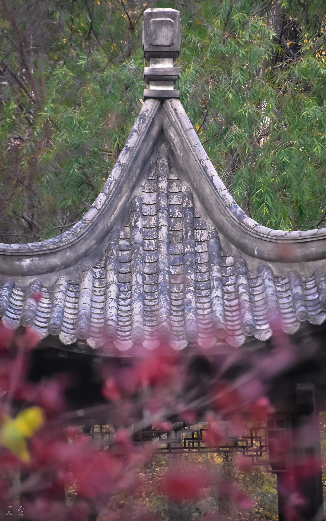 DSC_1015.jpg