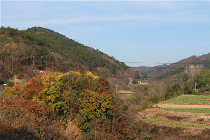 IMG_9834.jpg