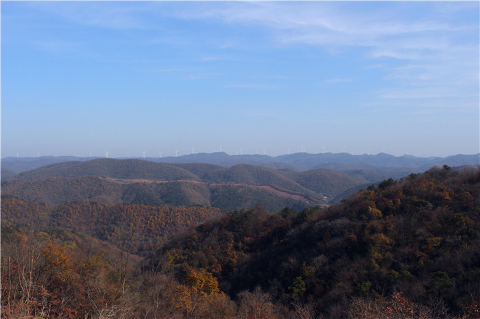 IMG_9854.jpg