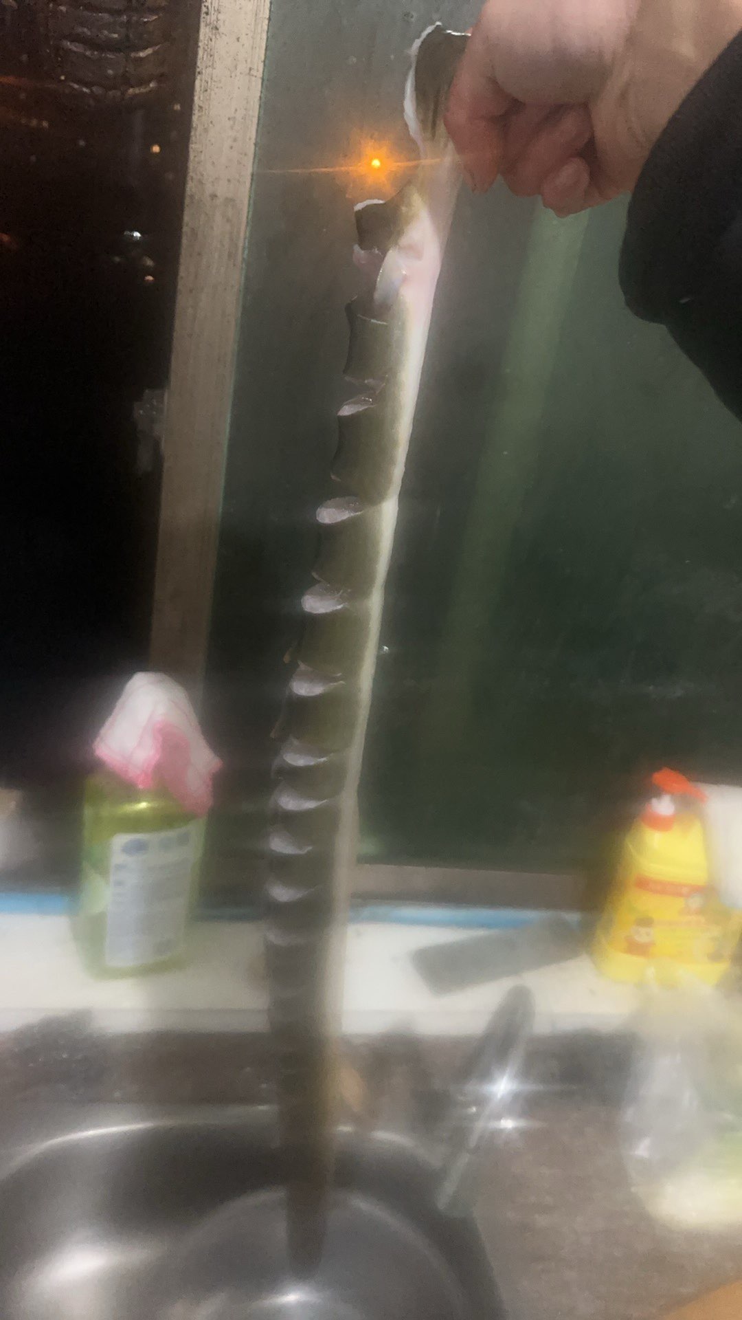 20250112044747front1_0_3667281_FkRENwevJaxiRySlPghwglSTNal-.jpg