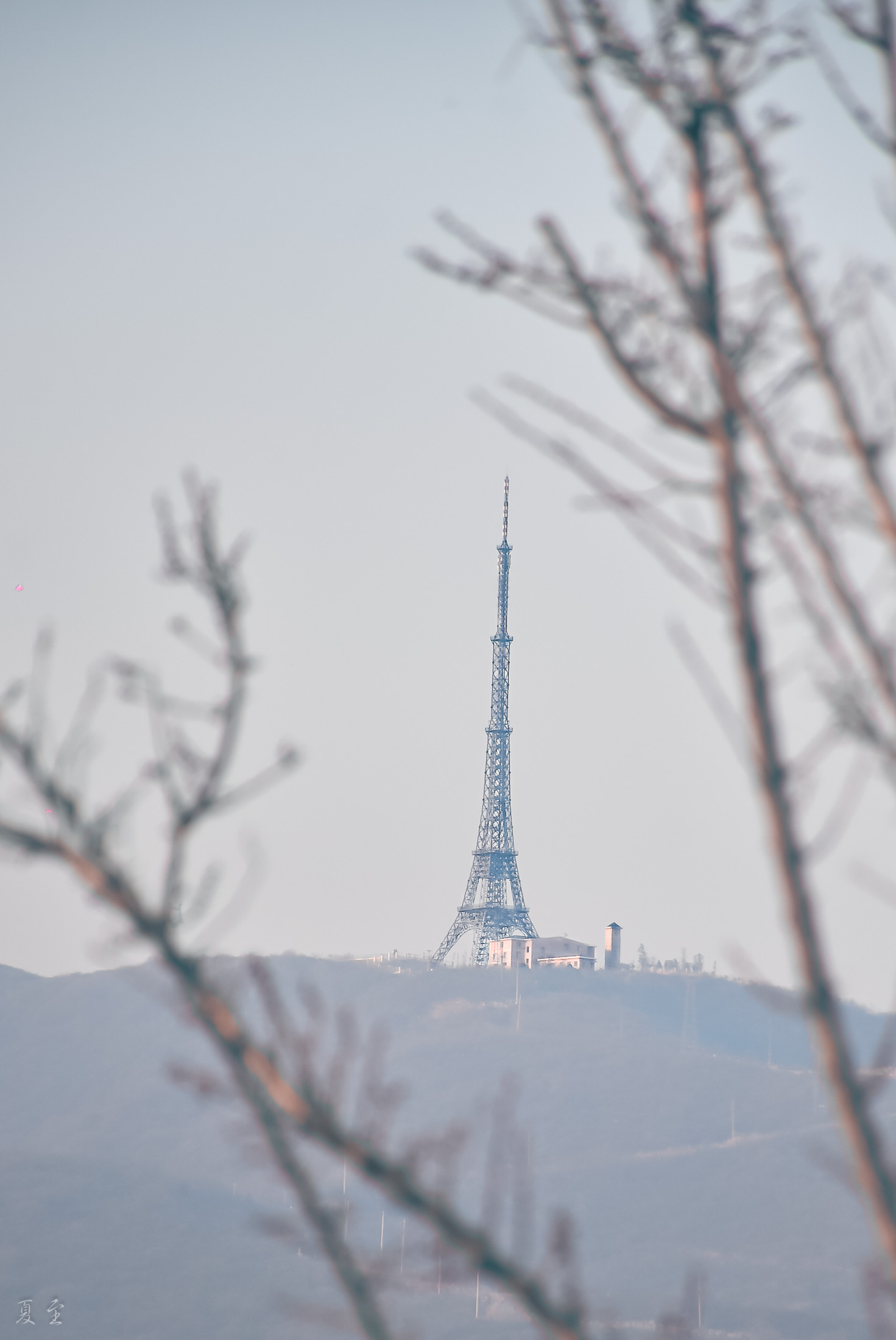 DSC_1173.jpg