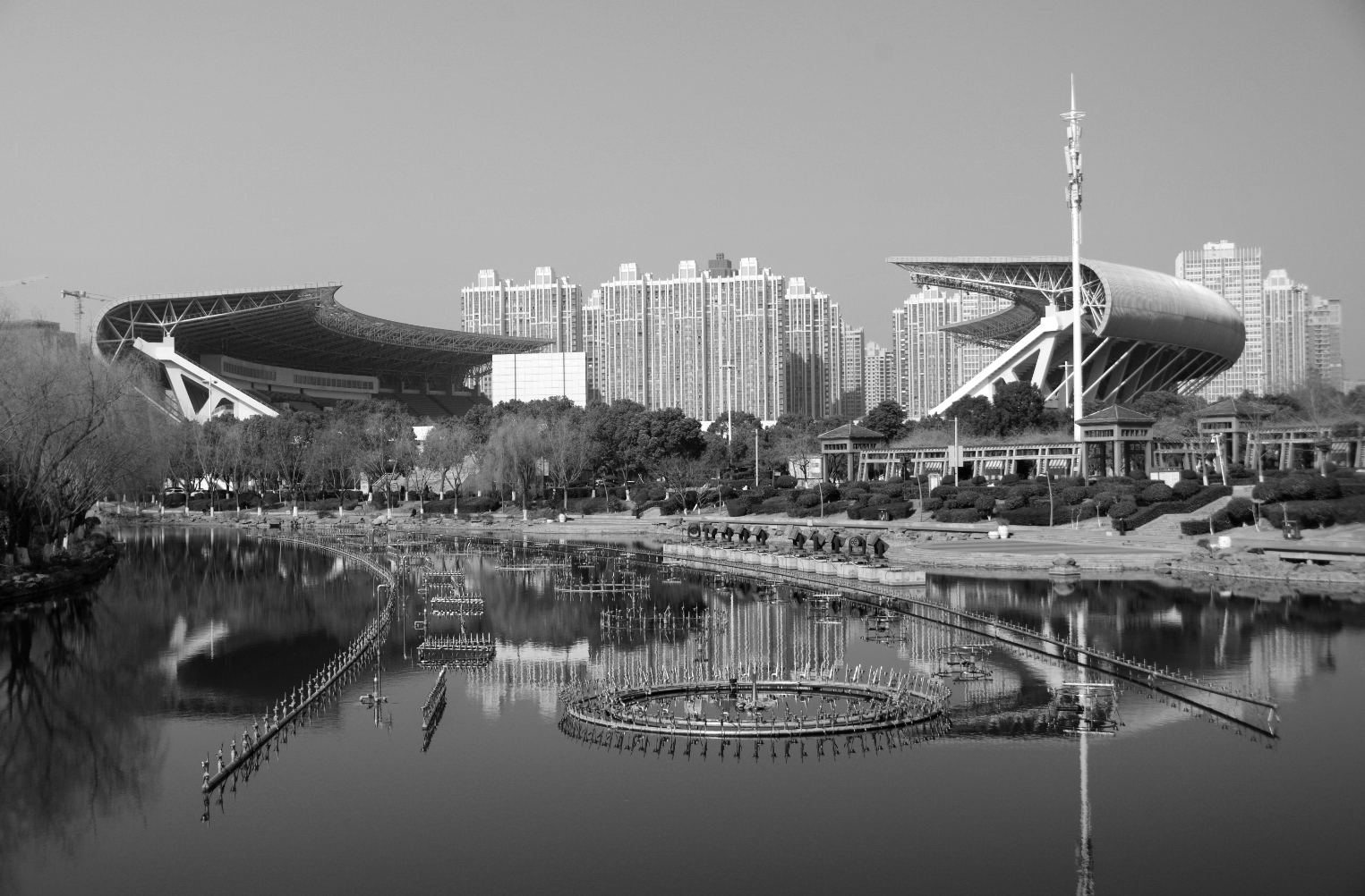 DSC_0091.jpg