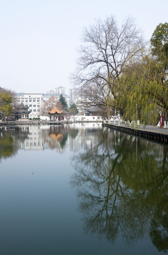 ΢�Ž�ͼ_20250120103957.jpg