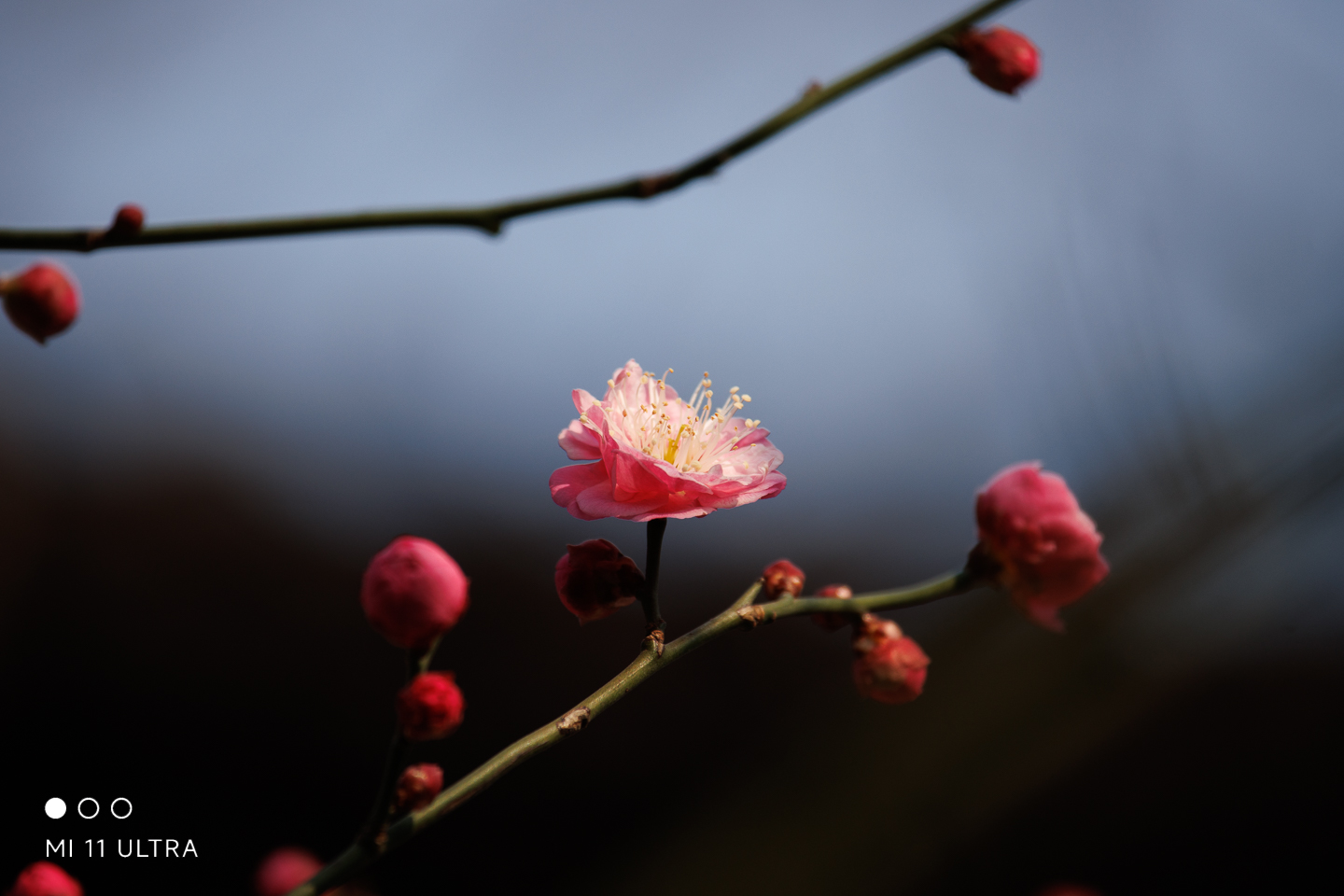img--1-2.jpg