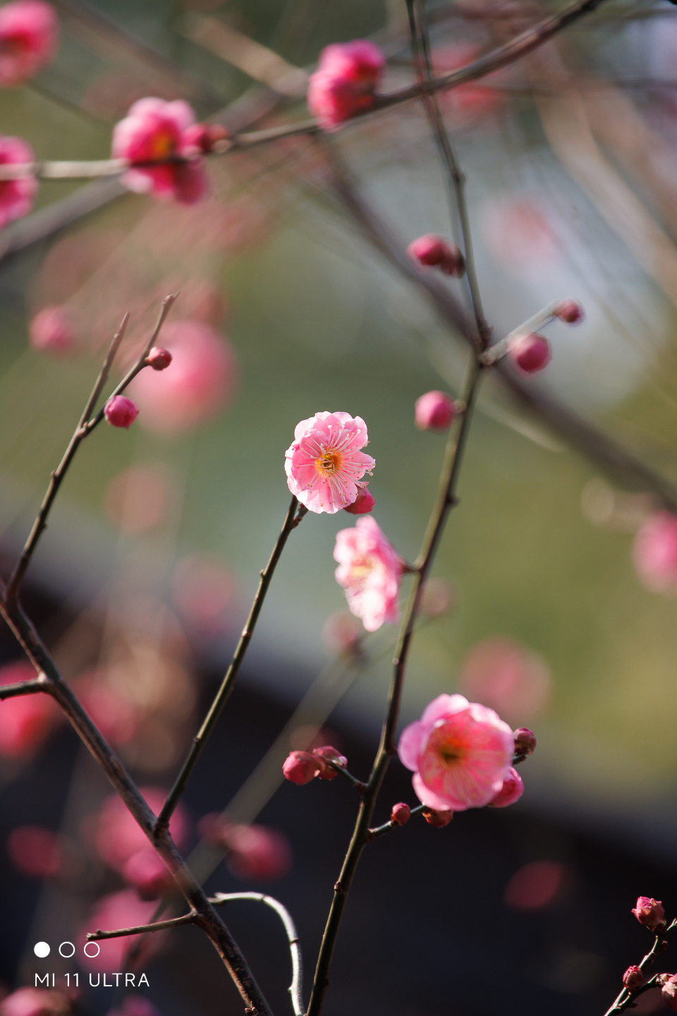 img--1-10.jpg