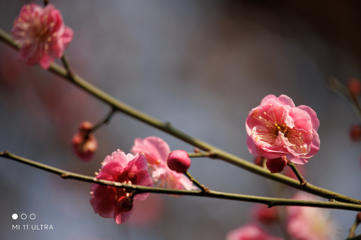 img--1-5.jpg