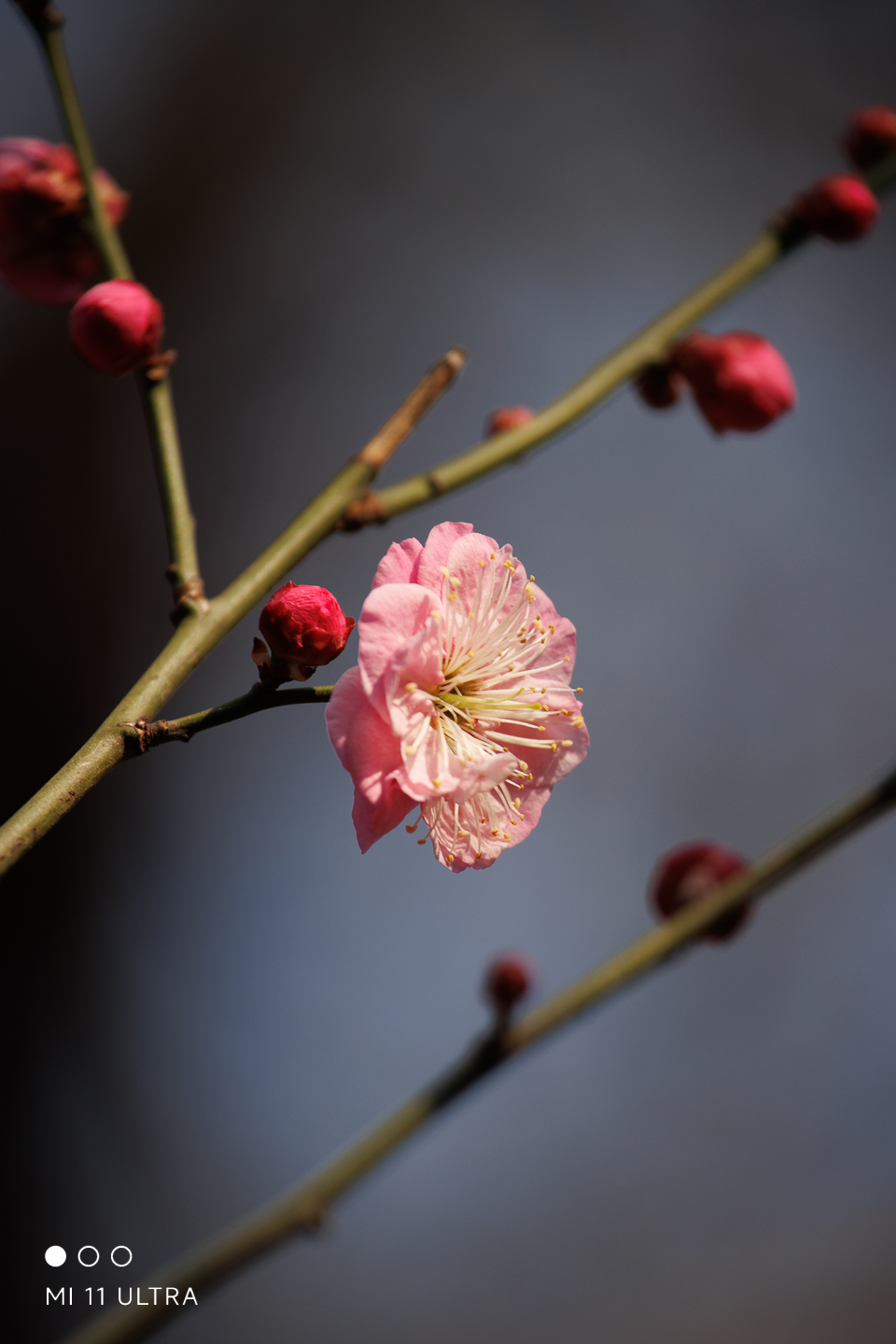 img--1-8.jpg