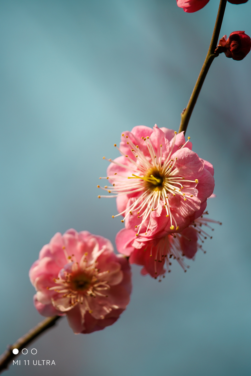 img--1-18.jpg