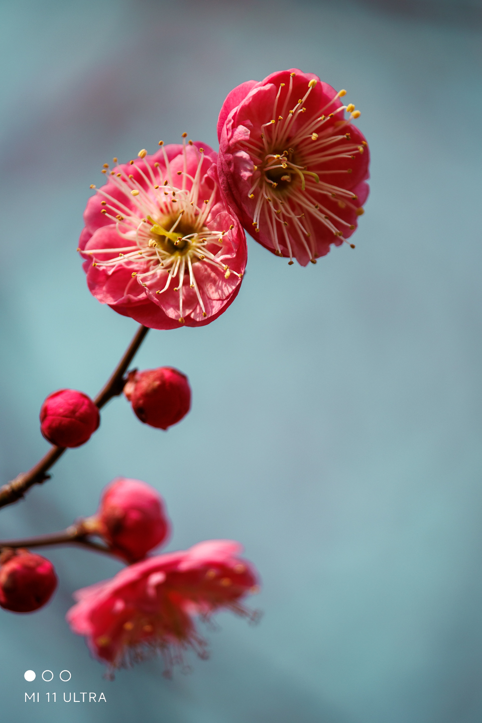img--1-17.jpg