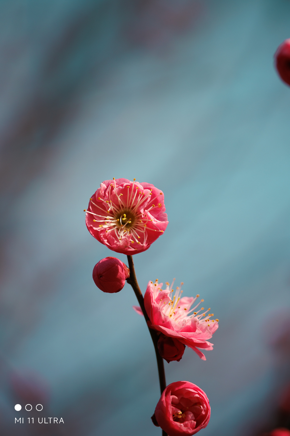 img--1-14.jpg