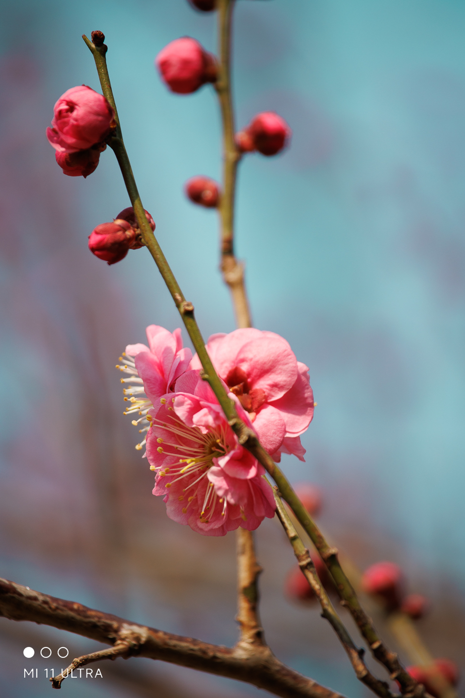img--1-15.jpg