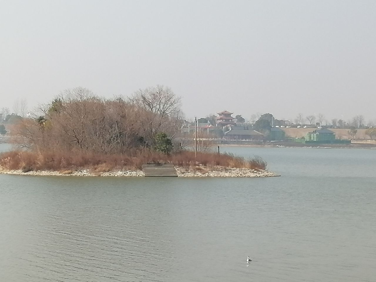 20250130140549front2_0_2652988_FsIXuKaiiOXrlN6X4tIGdbbSW8h1.jpg