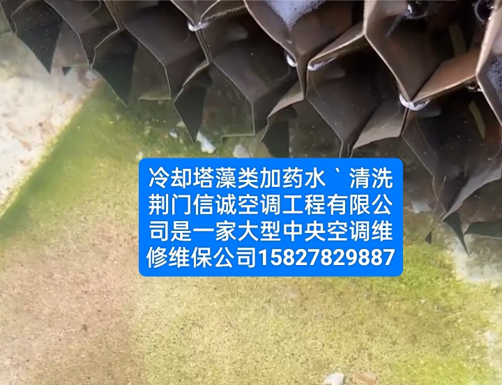 57e2c82ee6d2a7fd32760461ab00bbc5.jpg