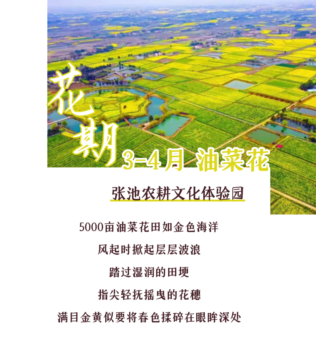 170037itdyuc77iugn47g7.png