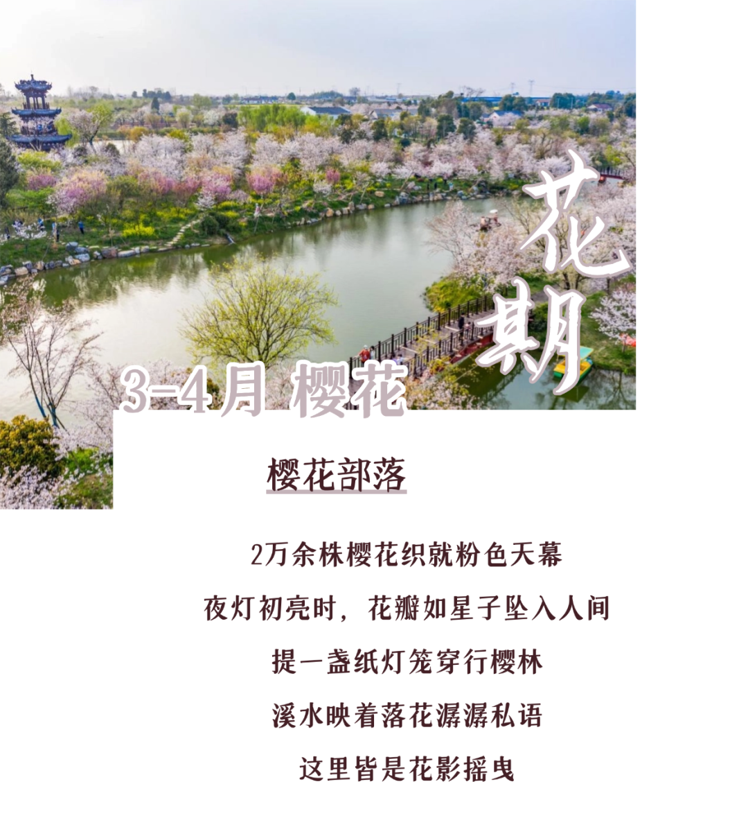 170037om7rnycxfsbs2aiz.png
