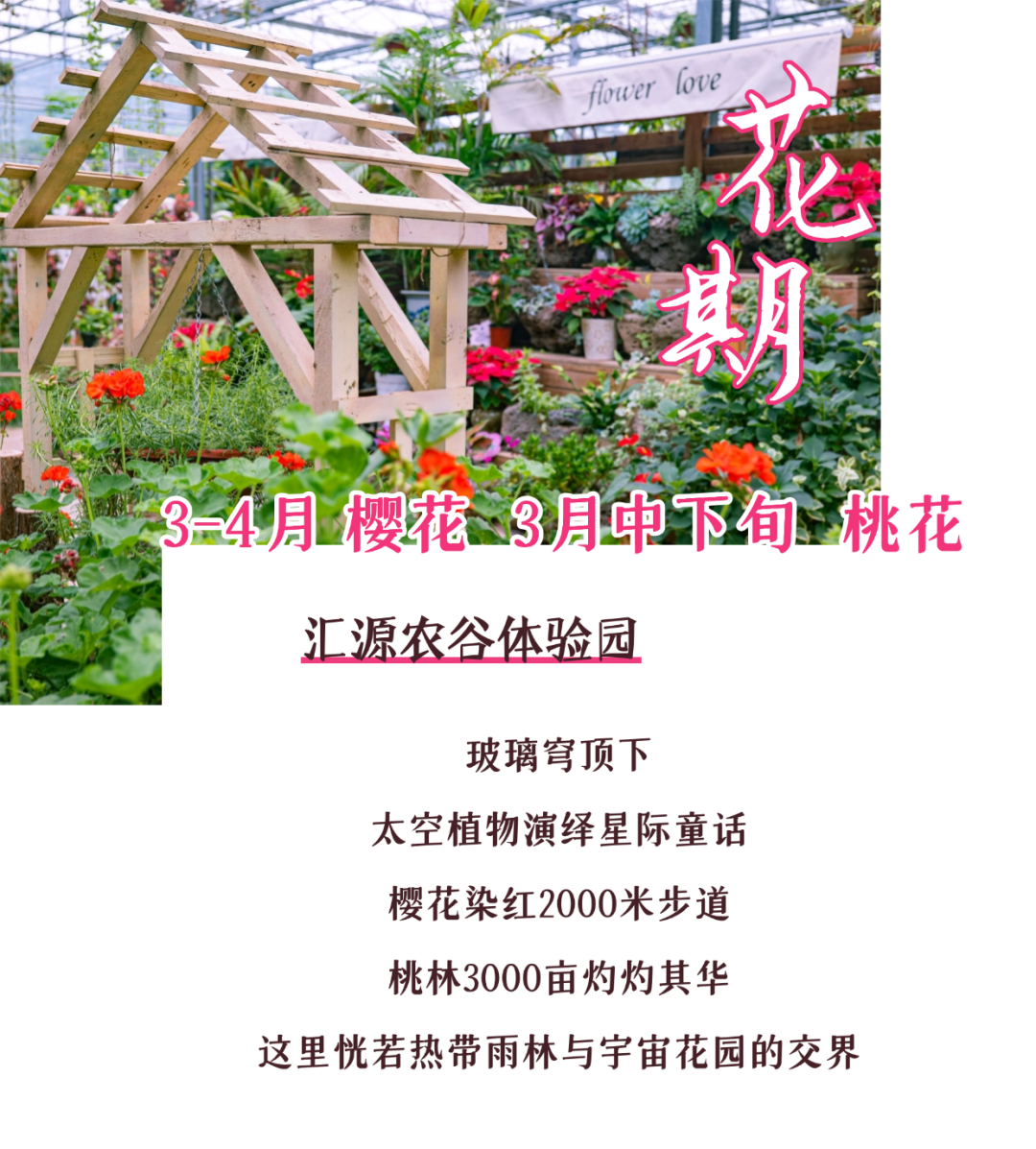 170039runq63qq6q33hwhn.png