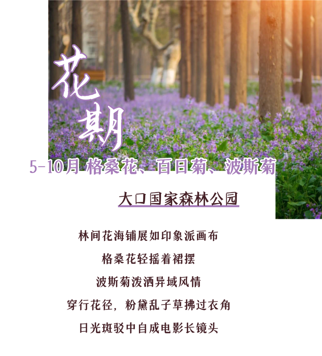 170038hg1g0geo5ss4h5k5.png