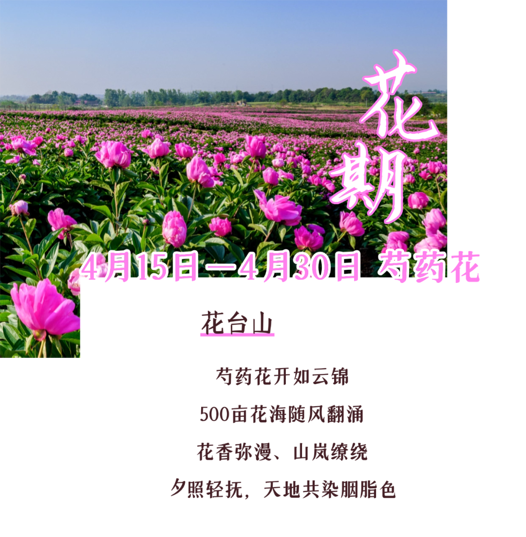 170040pxv4knhcqbchpb4v.png