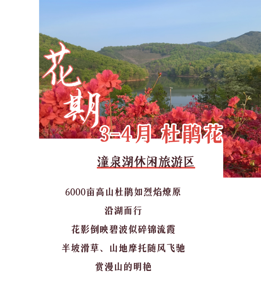 170040av677yqm0b6zwo06.png