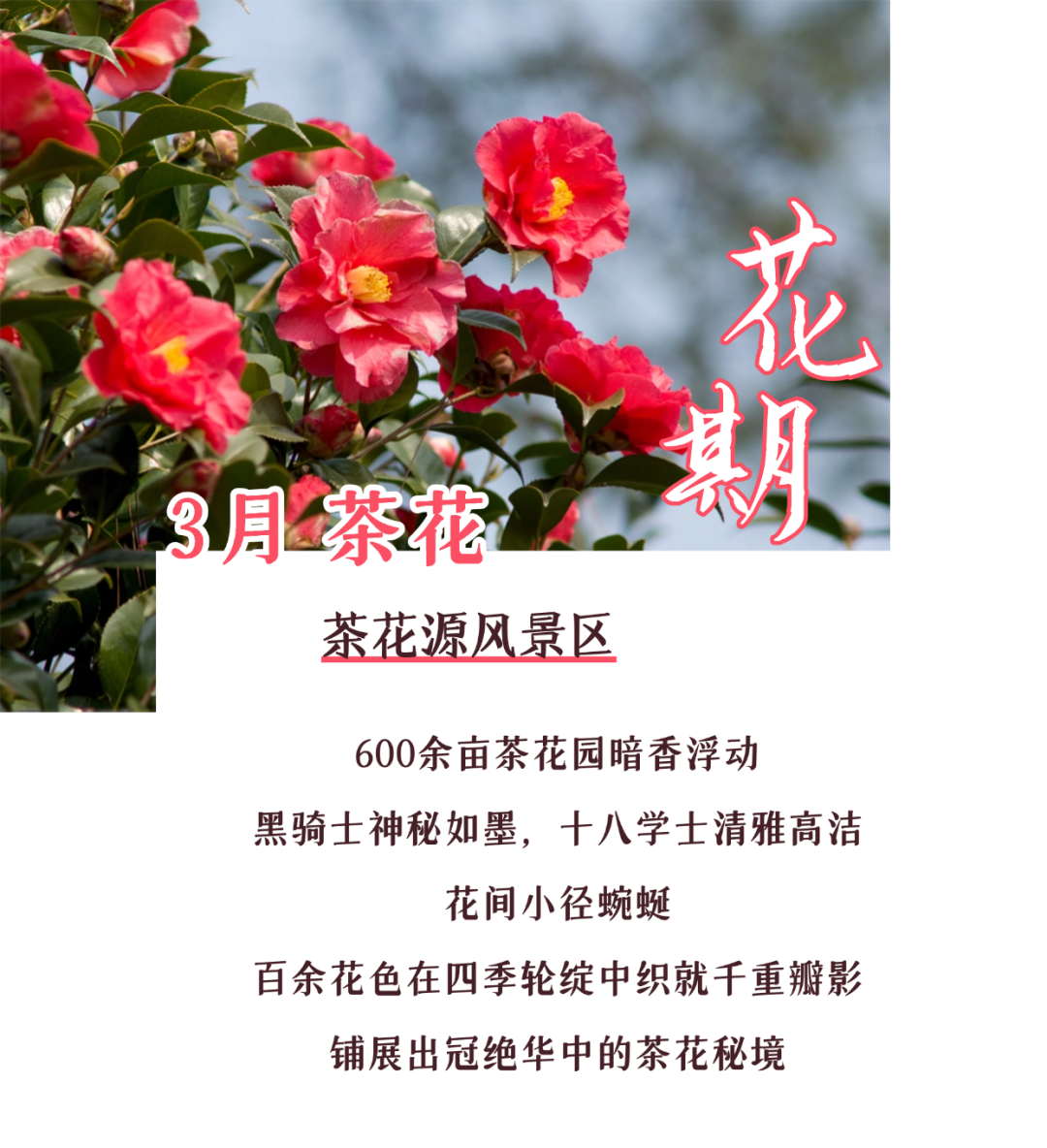 170041e2r0u2umre27k7zd.png