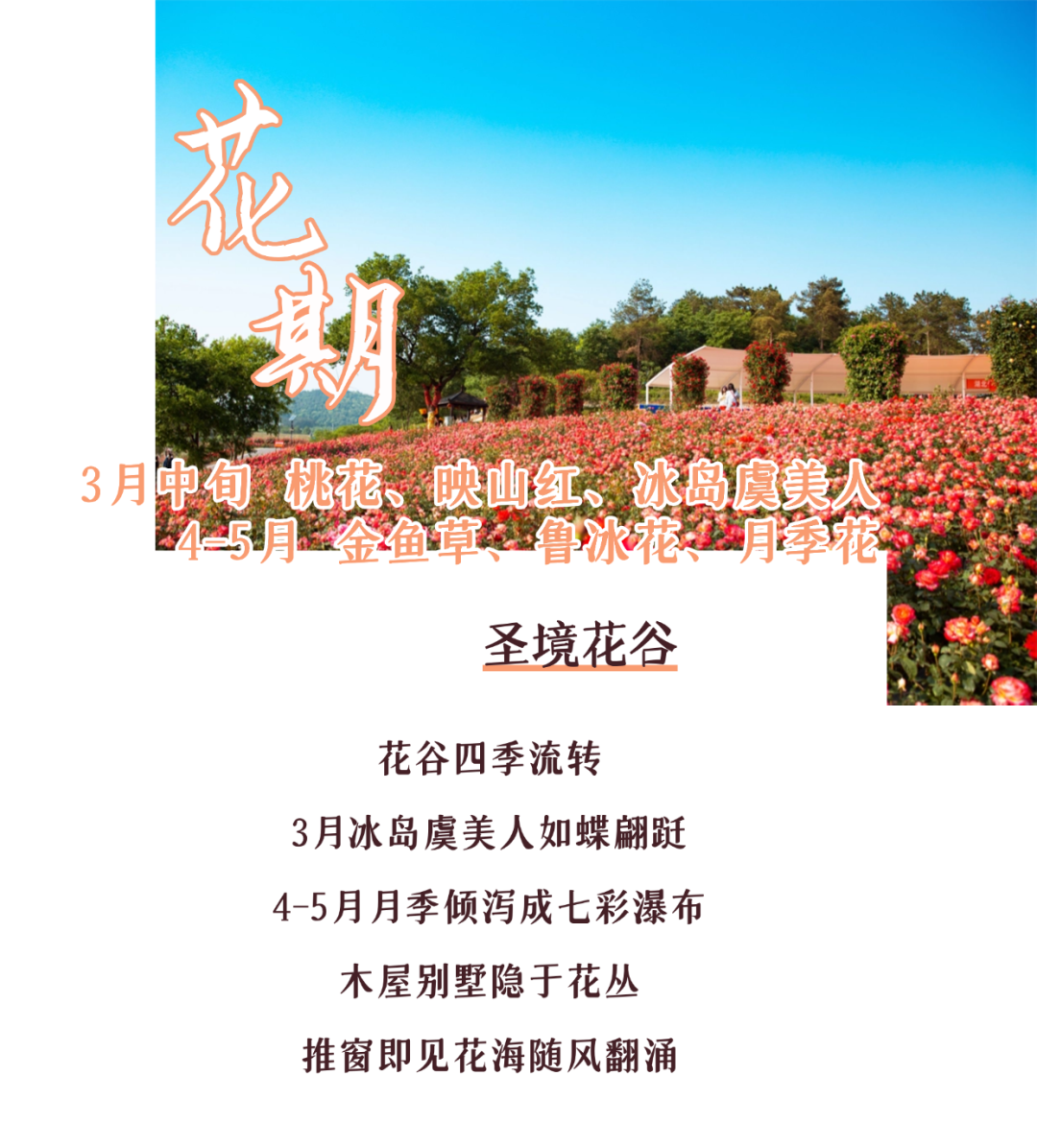 170042qmzbtr2zbbbbmlwq.png