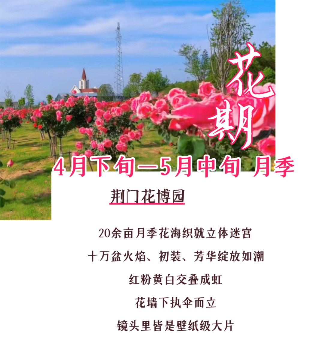 170043j808id3e1br6r3dr.png