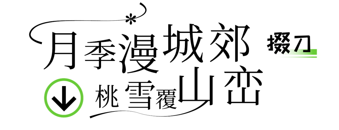 170043lrd5r5z9itgzz377.png