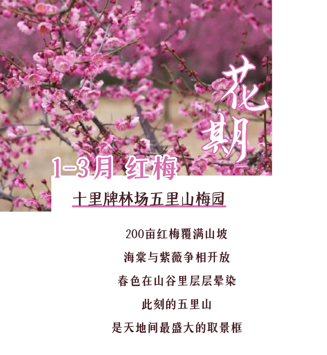 170044cdck97myyym5x5xc.png