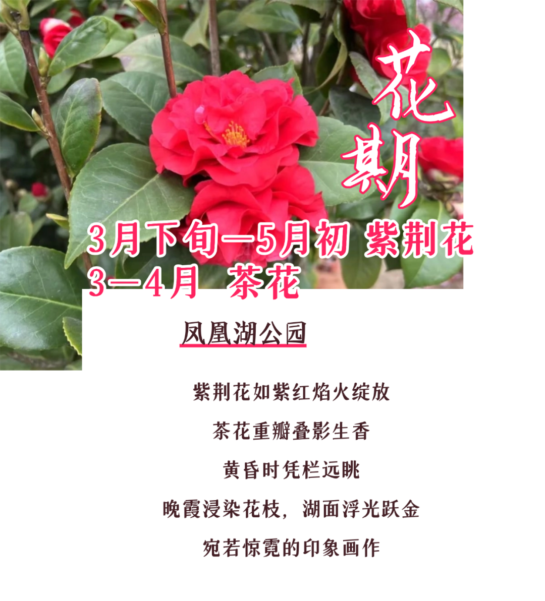 170045pag25qie82atau4l.png