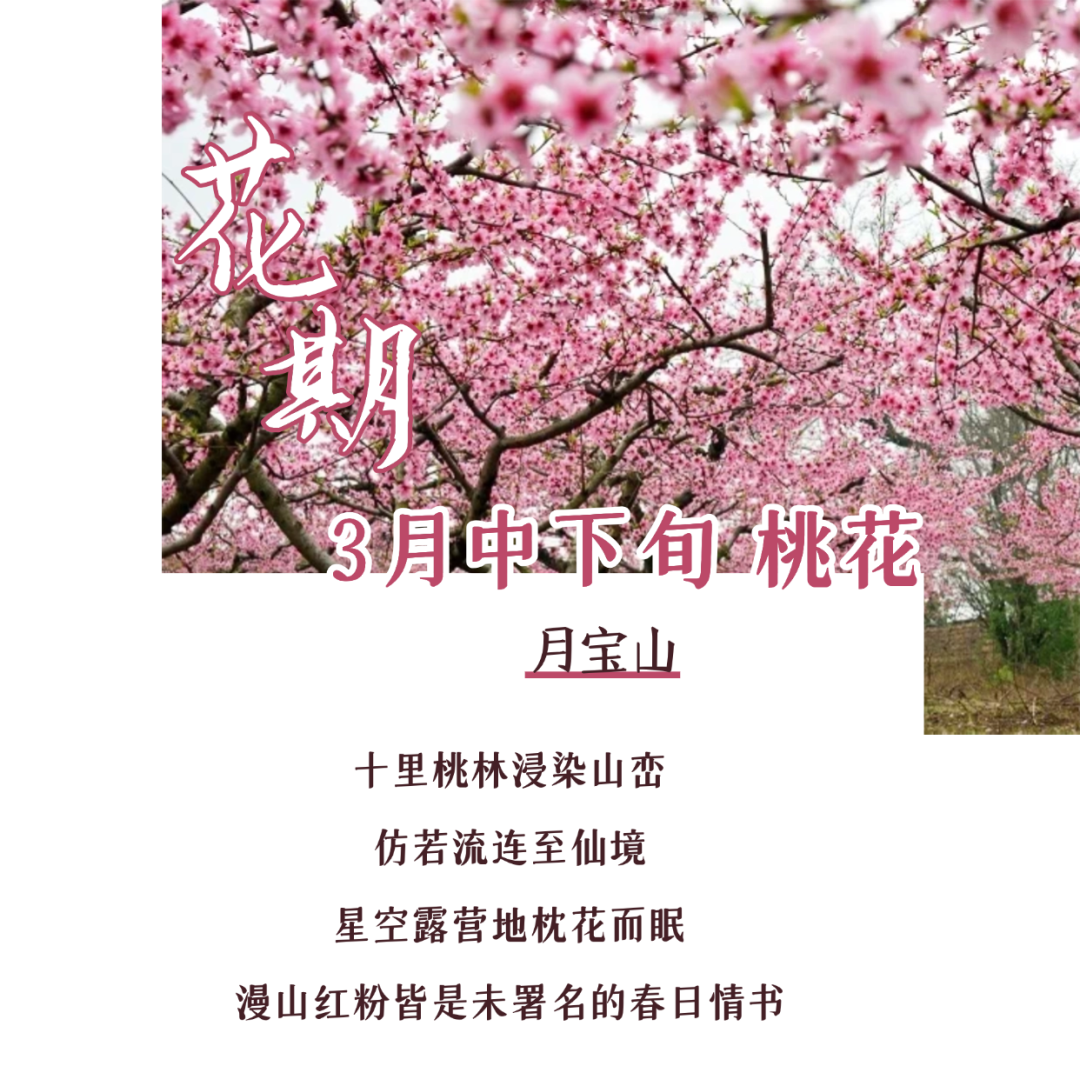 170046xh9wi8gmio9hnfof.png