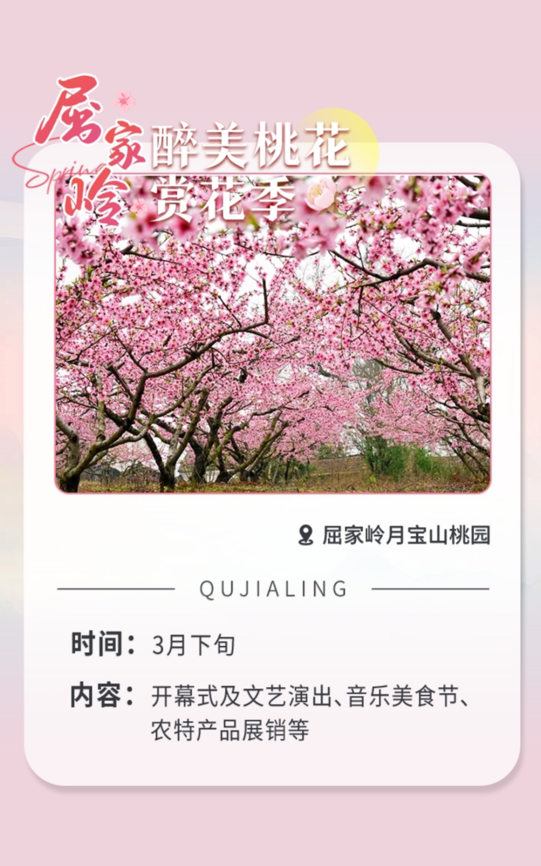 170046o6pz9k972d99ddw8.png