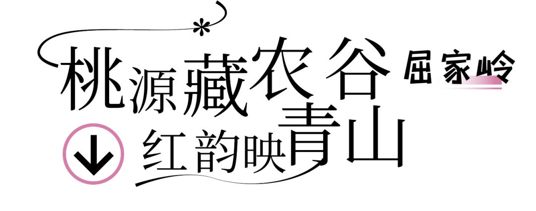 170046ujj2jdddd9i65j0u.png
