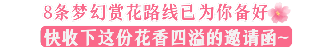 170046e8xtjc7p78tt0p7x.png