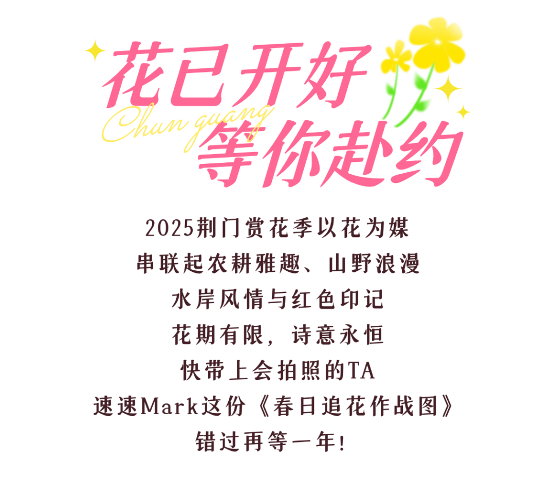 170049lkkl6nnidkkk8dl5.png