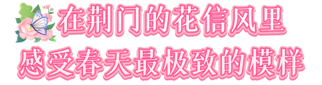 171035t7c7wv5wd7djo1x1.png