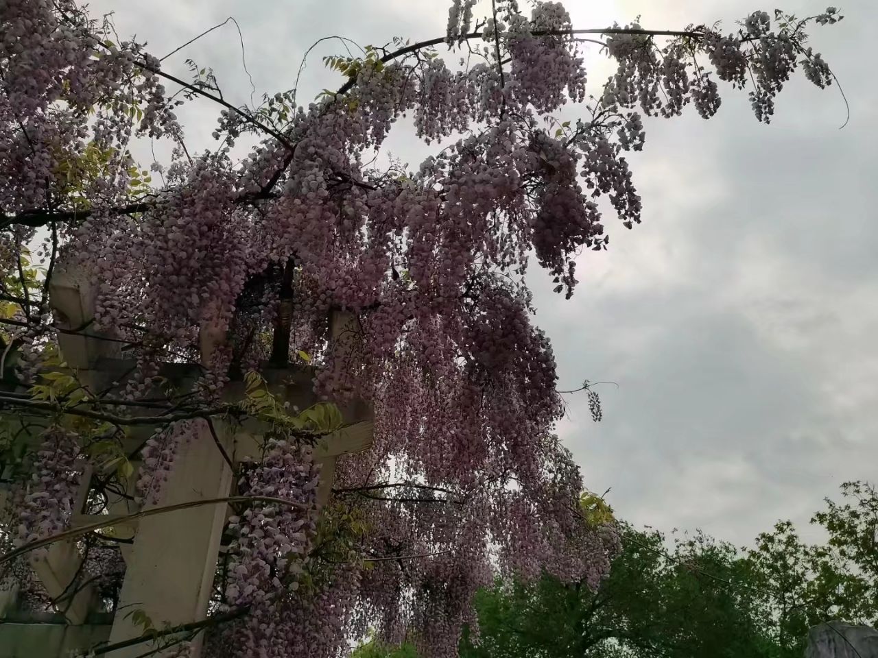 20250328182527front2_0_3469476_FmubJS7ndLC6RjRJDuPsSS3nH6mK.jpg