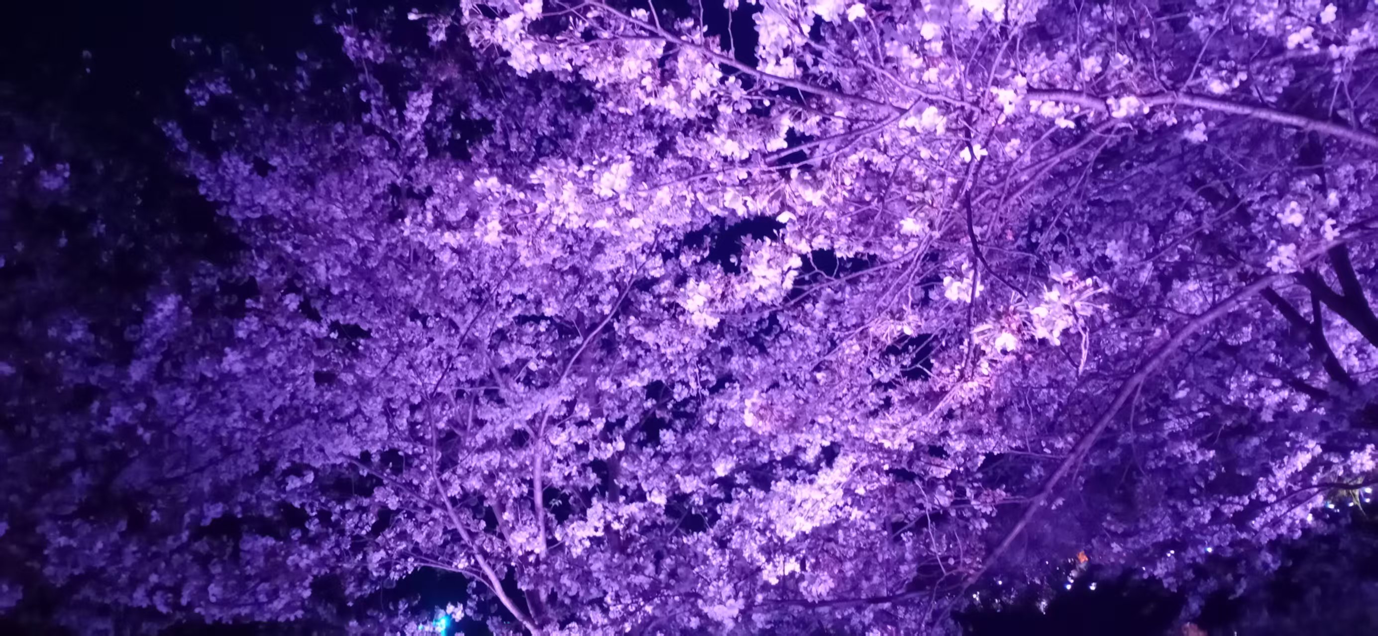 ΢��ͼƬ_20250331110614.jpg