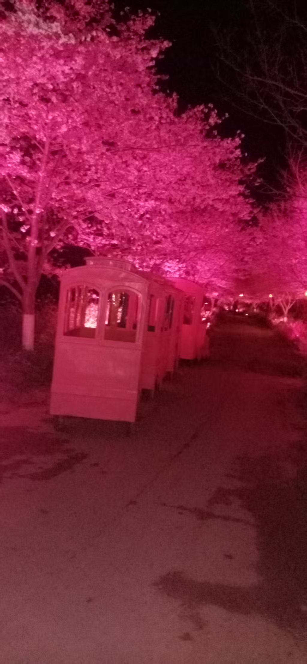 ΢��ͼƬ_20250331110932.jpg