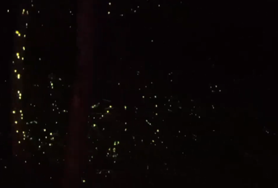 ΢��ͼƬ_20250331122651.png