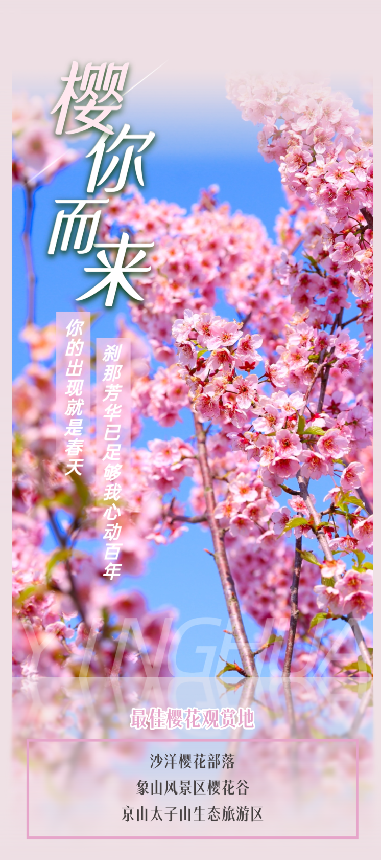 154945j5f5sj5ddt1vj1if.png